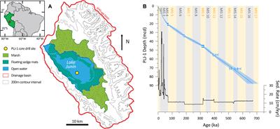 Paleomagnetic Constraint of the Brunhes Age Sedimentary Record From Lake Junín, Peru